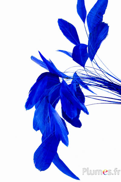 Coquetips - 13-18 cm - blau